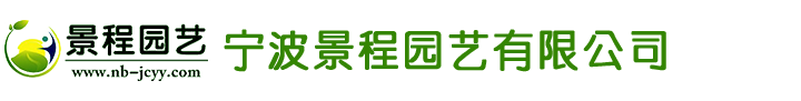 東莞市安特電子有限公司